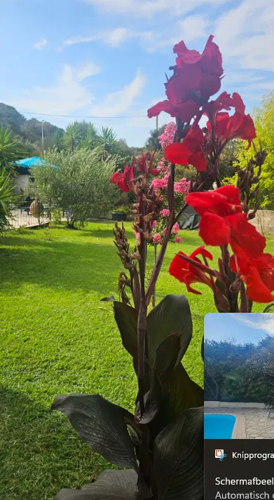 Onze villa bij Porto Vecchio